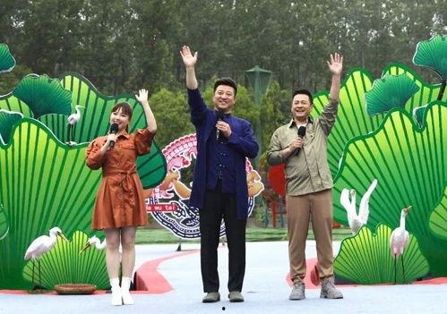 龙公子最新爆料新闻视频,最新爆料新闻视频深度解析